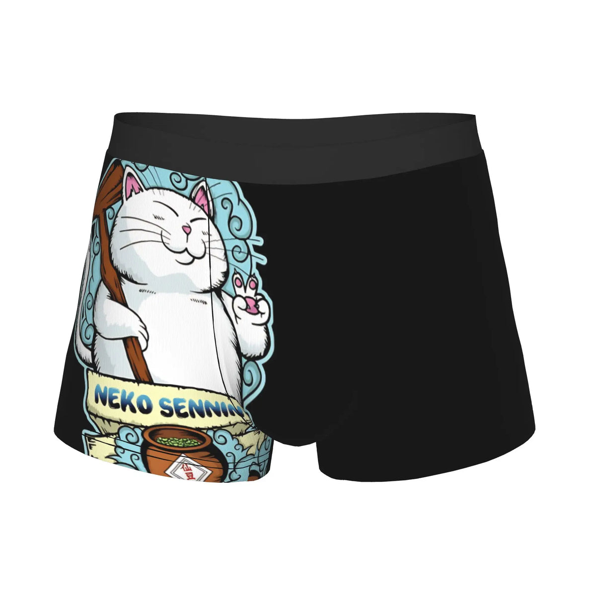 Boxer Dragon Ball - Maître Karin